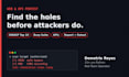do a web app and api penetration test with a detailed security report