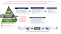 do data creation data cleansing data analytic and data visualization