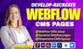 create or fix webflow cms website, dynamic website, webflow cms development