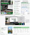 do web research, data collection, and data entry