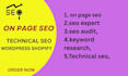 do onsite onpage SEO technical service ecommerce service