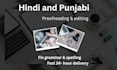 proofread and edit hindi and punjabi text flawlessly