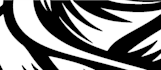 make an individual neo tribal tattoo design