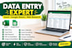 do data entry, web research, excel and google sheets