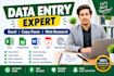 organize messy data into a clean professional in excel sheet