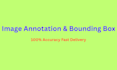 do accurate image annotation and bounding box