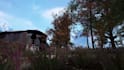 create 3d game environment level design open world map in unity and ue5