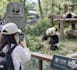 plan an authentic chengdu trip like a local