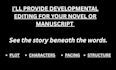provide development editing for your novel or manuscript