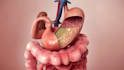 create 3d medical animation pharmaceutical drug mechanism moa