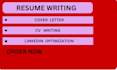 write an executive CV and resume
