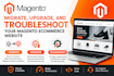 migrate your magento website, upgrade, and fix bugs