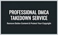 issue a dmca takedown notice to remove stolen content