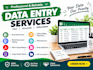 do professional data entry and excel data typing work