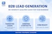 do b2b lead generation and data entry