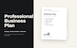write a professional business plan