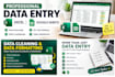 accurate data entry, excel and google sheets work