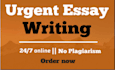 do urgent essay writing as an essay writer