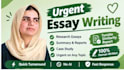 do urgent essay writing and research summary writing