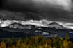 colorizzazione di foto in bianco e nero