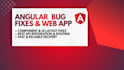develop and fix bugs in your angular web application