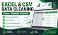 clean, organize and format excel or CSV data