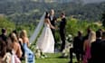 officiate a wedding, and write a speech