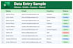do accurate data entry and excel data formatting