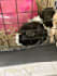 write a pet centric blog post