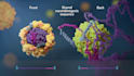 produce 3d medical animation moa biotech therapy explainer video
