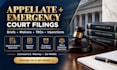 draft persuasive US appellate briefs and reply briefs
