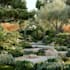 develop high end masterplan landscape renderings and park concept designs