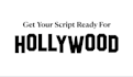 provide industry standard script coverage