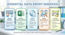 do accurate date entry copy paste excel and web research