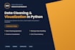clean your dataset and create visualizations in python