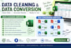 excel data cleaning and data entry