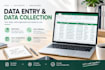 do data entry, data cleaning, web research and excel tasks