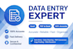 do data entry excel pdf to excel copy paste typing work