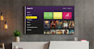 develop a professional roku channel, roku TV app and ott streaming app