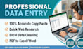 do expert data entry, copy paste work, and web research for you