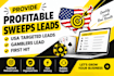 provide profitable sweeps leads, USA targeted leads, gamblers lead, first hits