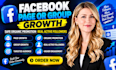 boost your facebook page followers instantly
