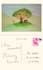 invitacion personalizada con ilustraciones a mano