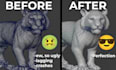 optimize ai model, retopologize, bake texture, unwrap uv