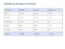 custom wedding budget planner ill build it for you