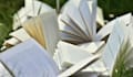 beta read your novel and provide feedback