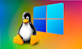 manage linux and windows servers, scripts, and databases