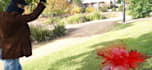 composite realistic vfx effect, muzzle flashes, blood effect, green screen vfx