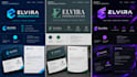 design canva templates and social media graphics