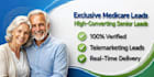 provide high quality medicare insurance leads